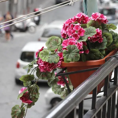 Napoliviva Bovio 3* Naples